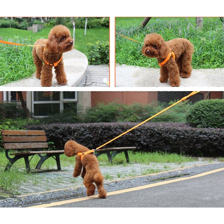 BEI WRH Double Sided LED Light Pet Harness Nylon Cat Dog Chest Strap Leash, Size:M(Pink) - Mega Discount Store LebanonLebanon