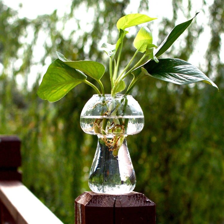 BEI WRH Mushroom Shaped Glass Vase Terrarium Bottle Container Flower Home Table Decoration - Mega Discount Store LebanonLebanon