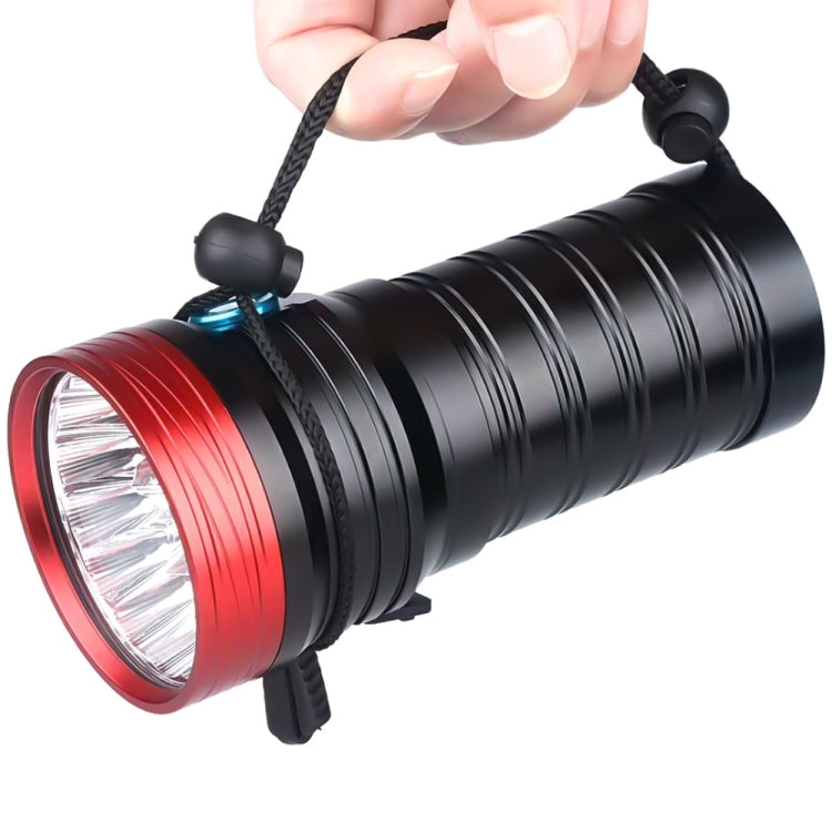 LED0997RL.jpg@7bda5045b687c8d54821a1b95fd175b4