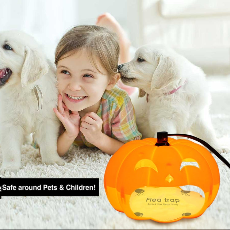 TBD0426847902_3.jpg@8398d58e9ee201508833f4704095cdbb